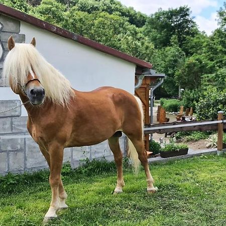 Appartamento Auf Dem Reiterhof Wernigerode Esterno foto