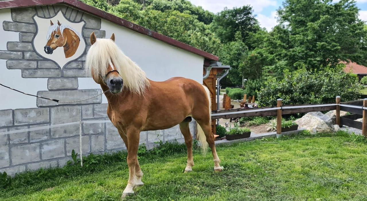 Appartamento Auf Dem Reiterhof Wernigerode Esterno foto